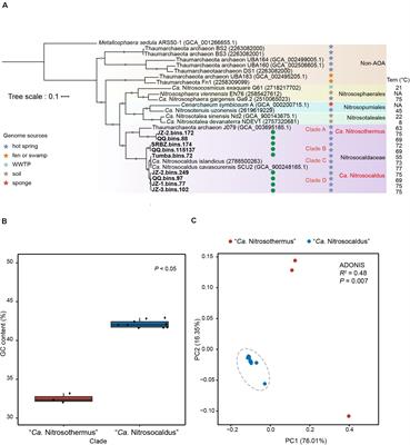 Genomic Insights of “Candidatus Nitrosocaldaceae” Based on Nine New Metagenome-Assembled Genomes, Including “Candidatus Nitrosothermus” Gen Nov. and Two New Species of “Candidatus Nitrosocaldus”